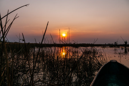 Okavango Delta, Botswana - August 3, 2022. A first-person perspective of a sunset in the Okavango delta, as observed from a Mokoro.の写真素材