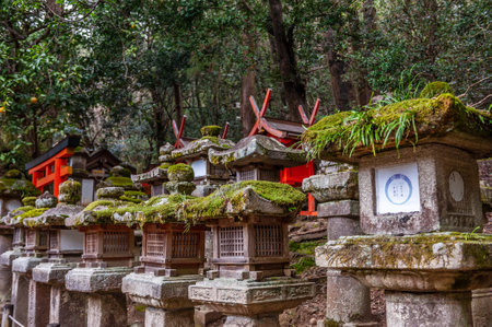 Nara, Japan - January 5, 2020. Exterior shot of Nara Park. Nara is a historic city in Japan, famous for its many temples and Shrines. Many people visit during the first days of the new year.のeditorial素材