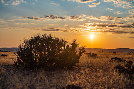 A sunset over the grasscovered fields near Sesriem, Namibia.の写真素材
