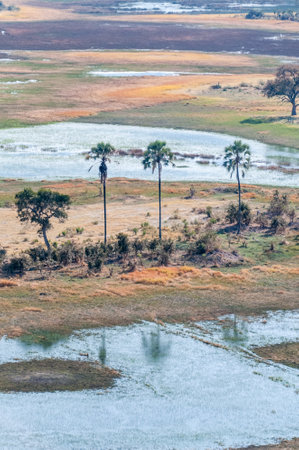 An aerial impression of the Okavango Delta, Botswana, as seen from a Helicopter.の写真素材