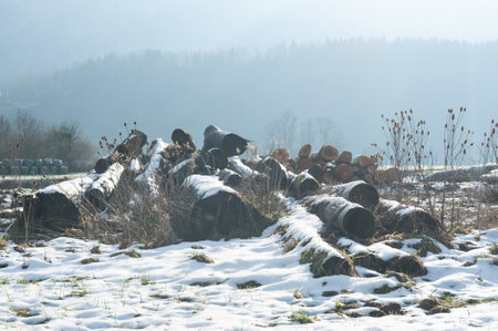 A winter landscape in the French savoy area, near the town of Entre-deux-guiers.
