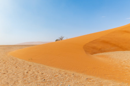 Dune 45, in the Namibian sossusvlei, on a stormy afternoon with limited visibilityの写真素材