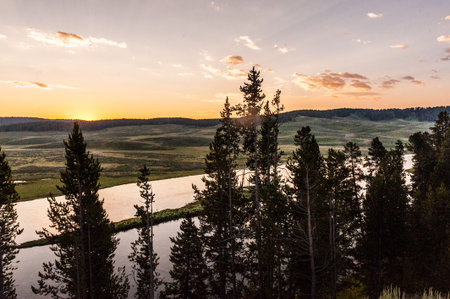 Overlooking the Yellowstone river at the break of dawn, on a summer morning, from Hayden Valley....