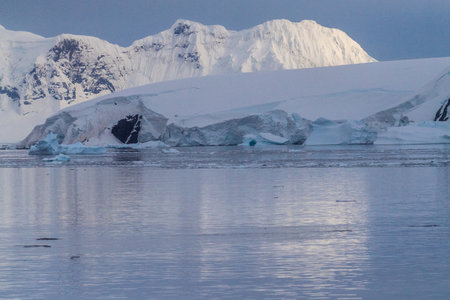 Icebergs and Glaciers align the coast of the Antarctic peninsula, and its many islands. A very tranquil sea reflects the early morning light in the Gerlache strait.の写真素材