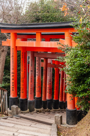 Kyoto, Japan - January 15, 2020. Impression of the many Torii of the Fushimi Inari Shrine in Kyoto, Japan.のeditorial素材