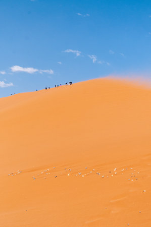 Dune 45, in the Namibian sossusvlei, on a stormy afternoon with limited visibilityの写真素材