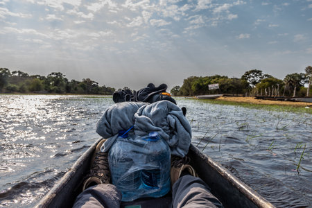 Okavango Delta, Botswana - August 2, 2022. First perspon perspective from a mokoro that is traveling through the Okavango delta in Botswana.のeditorial素材