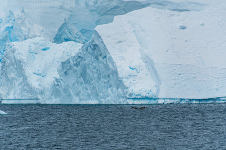 Detail of the massive icebergs and glaciers of the Antarctic Peninsula. Image taken near Graham passage. A humpback whale -Megaptera novaeangliae- is diving in the foreground.の写真素材