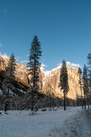 View from the snow-covered valley floow in Yosemite national park during golden hour, just before sunset.の写真素材