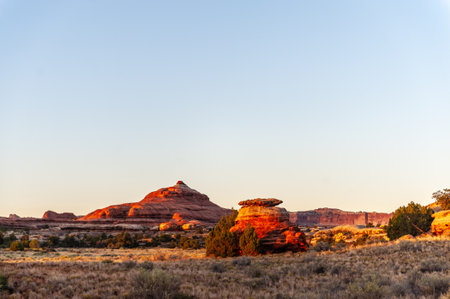 Sunrise at the Needles District Campground. Canyonlands National Park, Utah
