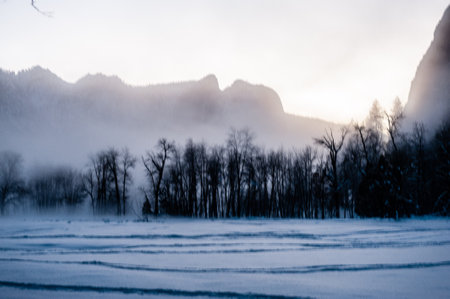 Late afternoon in Yosemite valley as the sun is setting. Yosemite national park, California.の写真素材