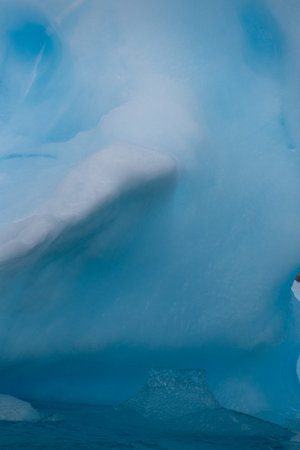 Detail of a patch of Antarctic sea ice, containing wonderous shapes and deep blue colours.