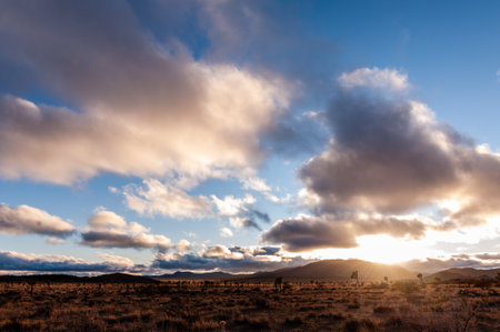 A Joshua Tree National Park landscape shot, taken on a winter afternoon.の写真素材