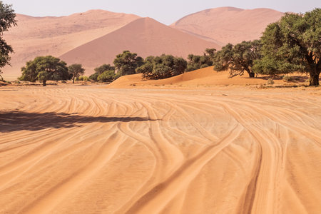Impression of the massive sanddunes that comprise the Sossusvlei of western Namibiaの写真素材