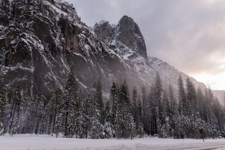 Exterior of a snow-covered landscape in Yosemite valley. It is late afternoon and a thin layer of mist is emerging, bringing about an eerie atmosphere.の写真素材