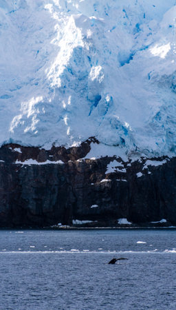 Antarctic landscape with diving humpback whalesの写真素材