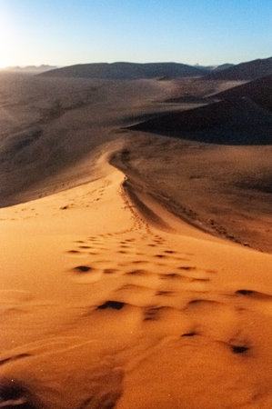 Exterior shot of the Namibian Sossusvlei sanddunes near Dune 45 around sunriseの写真素材