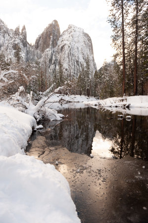 Snow-covered trees line the river in Yosemite valley on a late winter afternoon.の写真素材