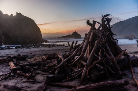 Close-up of a pile of firewood laying ashore on Pfeiffer Beach, around sunset.の写真素材