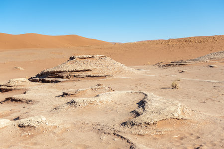 Impression of the barren sand dune landscape near the deadvlei region of Namibia.の写真素材