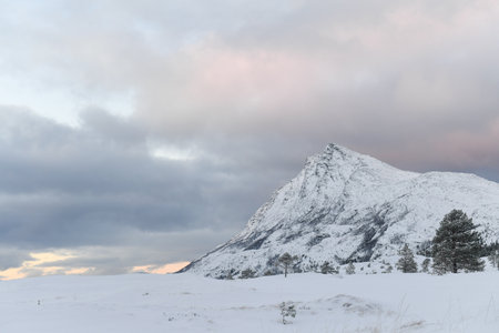 Snow landscape in the mountains of Norway in winterの写真素材