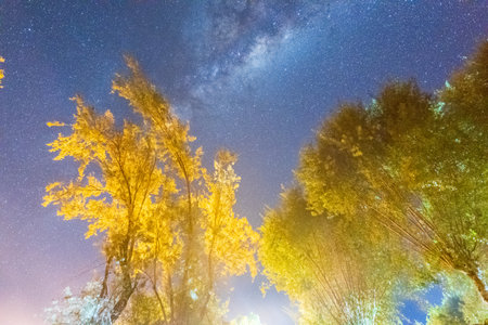 Impression of the Milky way galaxy overhead Orange River, South Africa.の写真素材