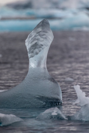 Detail of a patch of Antarctic sea ice, containing wonderous shapes and deep blue colours.の写真素材