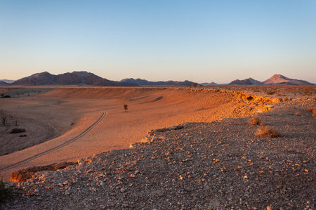 A very early morning in the Namibian Desert, near Cha-re, around sunriseの写真素材