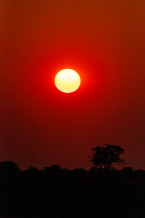 Wide angle shot of a beautiful sunset.の写真素材