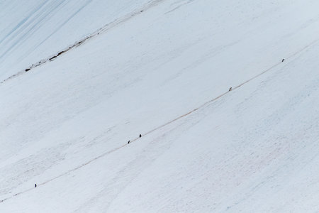 Telephoto of Gentoo Penguins -Pygoscelis papua- climbing up a steep hill along a penguin highway, near the entrance of the Lemaire Channel, on the Antarctic Peninsulaの写真素材