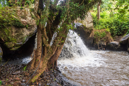 Close-up of a wild river stream and waterfall near the Kessup Forest along the great rift Valley.の写真素材