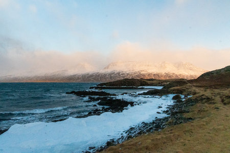 An ice-clad beach in the Icelandic winter, near Djupivogur, showing the black lava beaches along the...