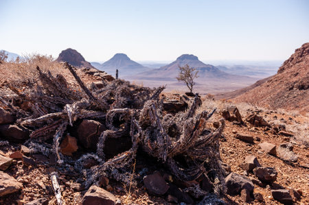 Namibian Desert landscape on a sunny afternoon.の写真素材