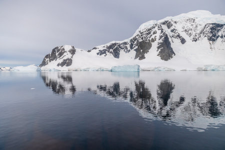 Icebergs and Glaciers align the coast of the Antarctic peninsula, and its many islands. A very tranquil sea reflects the early morning light in the Gerlache strait.の写真素材