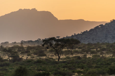 A dramatic sunset highlights the scenery of the Samburu national reserve in northern Kenyaの写真素材