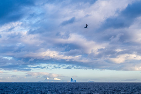An Antarctic landscape, taken during the golden hour, just after sunrise, in the Gerlache Strait.の写真素材
