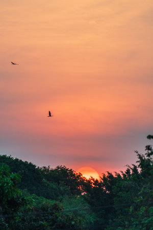 A beautiful african sunset in western Tanzaniaの写真素材
