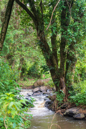 Close-up of a wild river stream and waterfall near the Kessup Forest along the great rift Valley in Kenyaの写真素材