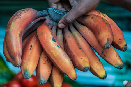 Close-up of a bunch of bananas on a local market in Tanzaniaの写真素材