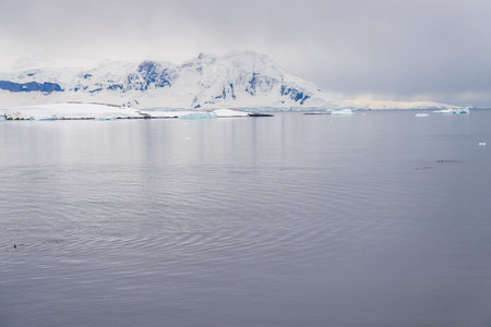 A tranquil Antarctic landscape, near Cuverville island. An occasional Gentoo penguin -Pygoscelis papua- is jumping through the water in the foreground.の写真素材