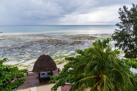 Outdoor shot of the coastline of northern zanzibar. Zanzibar, and in particular its coast is a popular tourist destination.の写真素材