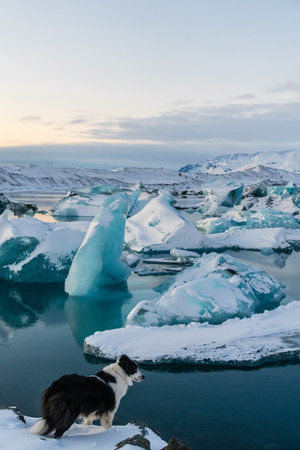 Icebergs and huge chunks for green-blueish ice fill Jokulsarlon Glacier lagoon, as the golden hour sunlight of the early morning casts a beautiful warm glow over the glacier-filled national park in Southern Iceland.の写真素材