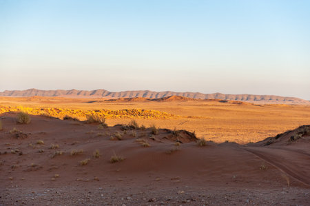A very early morning in the Namibian Desert, near Cha-re, around sunriseの写真素材