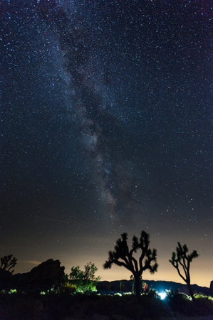 Impression of the night sky on a quiet summer evening in Joshua Tree national park, showing the...