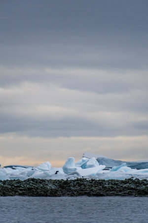 Impression of the Adelie Penguin - Pygoscelis adeliae- colony, near the fish islands, on the Antarctic Peninsulaの写真素材