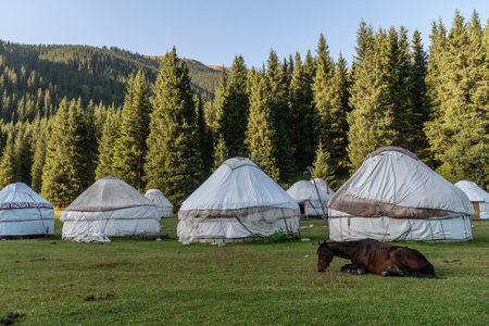 Outdoor scene showing horses in a Yurt camp near a beautiful mountain river in a valley in northern Kyrgyzstan.の写真素材