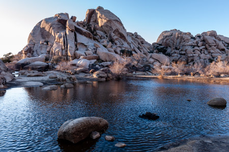 Impression of the Barkers dam area in Joshua tree national park, around sunset.の写真素材
