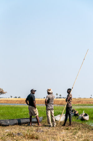 Boro 2, Botswana - August 2, 2022. Outdoor scene showing locals from a Botswana village operating a mokoro, a local boat used to traverse the Okavango Delta.のeditorial素材