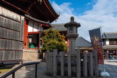 Nara, Japan - January 5, 2020. Outdoor scene showing the Kofuku-ji nan temple in historic Nara.のeditorial素材