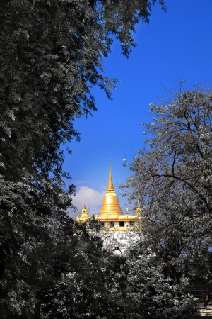 Golden Mount and Wat Saket,Thailandの写真素材